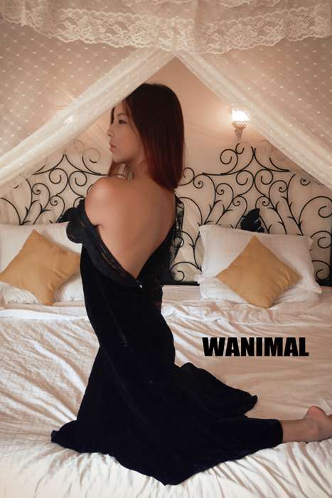 [wanimal艺术摄影]2013.06